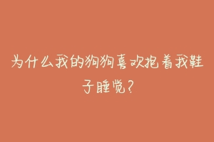 为什么我的狗狗喜欢抱着我鞋子睡觉?-动物百科