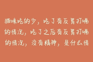 猫咪吃的少，吃了有反胃打嗝的情况，吃了之后有反胃打嗝的情况，没有精神，是什么情况？-动物百科
