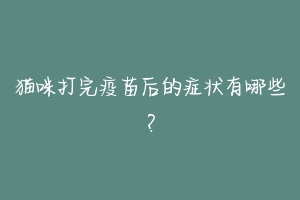 猫咪打完疫苗后的症状有哪些?-动物百科