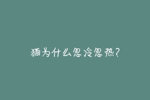 猫为什么忽冷忽热?-动物百科
