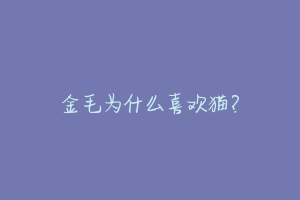 金毛为什么喜欢猫?-动物百科