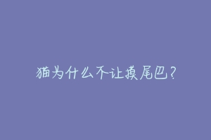 猫为什么不让摸尾巴？-动物百科