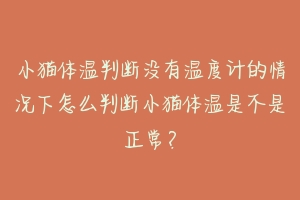 小猫体温判断没有温度计的情况下怎么判断小猫体温是不是正常?-动物百科