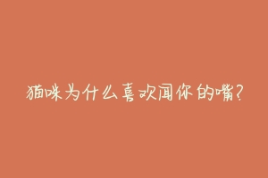 猫咪为什么喜欢闻你的嘴?-动物百科