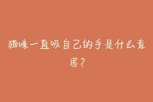 猫咪一直吸自己的手是什么意思?-动物百科