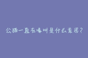公猫一直在嚎叫是什么意思?-动物百科