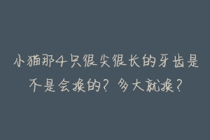 小猫那4只很尖很长的牙齿是不是会换的?多大就换?-动物百科