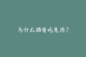 为什么猫爱吃兔肉?-动物百科