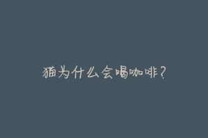猫为什么会喝咖啡?-动物百科