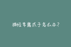 猫经常露爪子怎么办?-动物百科