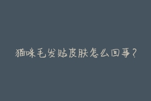猫咪毛发贴皮肤怎么回事?-动物百科