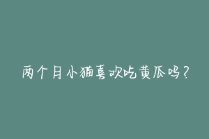两个月小猫喜欢吃黄瓜吗?-动物百科