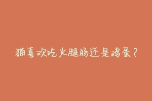 猫喜欢吃火腿肠还是鸡蛋?-动物百科