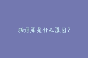 猫埋屎是什么原因?-动物百科