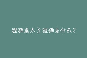 狸猫换太子狸猫是什么?-动物百科