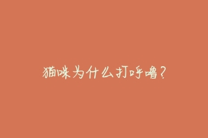 猫咪为什么打呼噜?-动物百科