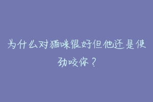 为什么对猫咪很好但他还是使劲咬你？-动物百科