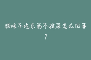 猫咪不吃东西不拉屎怎么回事？-动物百科