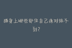 猫身上哪些部位自己绝对舔不到?-动物百科