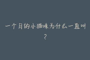 一个月的小猫咪为什么一直叫?-动物百科