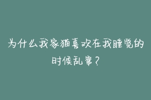 为什么我家猫喜欢在我睡觉的时候乱窜?-动物百科