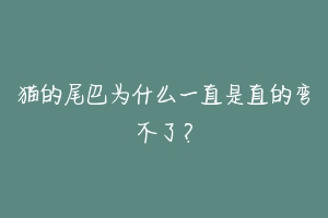 猫的尾巴为什么一直是直的弯不了?-动物百科