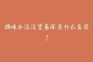 猫咪水汪汪望着你是什么意思？-动物百科
