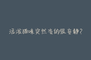 活泼猫咪突然变的很安静？-动物百科