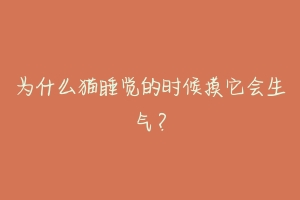 为什么猫睡觉的时候摸它会生气？-动物百科