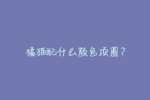 橘猫配什么颜色项圈？-动物百科