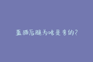 蓝猫后腿为啥是弯的?-动物百科