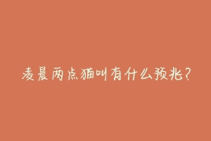凌晨两点猫叫有什么预兆?-动物百科