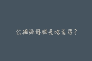 公猫舔母猫是啥意思？-动物百科