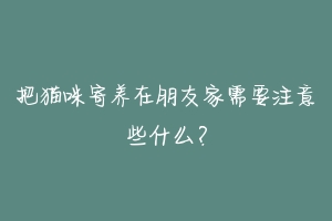 把猫咪寄养在朋友家需要注意些什么？-动物百科
