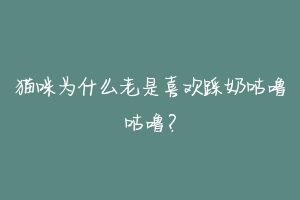 猫咪为什么老是喜欢踩奶咕噜咕噜？-动物百科
