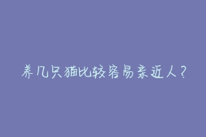 养几只猫比较容易亲近人?-动物百科