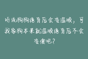 听说狗狗绝育后会变温顺,可我家狗本来就温顺绝育后不会变傻吧?-动物百科