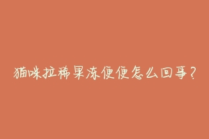 猫咪拉稀果冻便便怎么回事?-动物百科