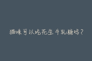 猫咪可以吃花生牛轧糖吗?-动物百科