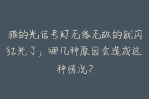 猫的光信号灯无缘无故的就闪红光了,哪几种原因会造成这种情况?-动物百科