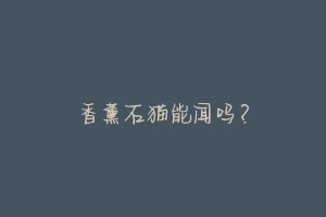 香薰石猫能闻吗?-动物百科