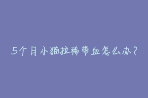 5个月小猫拉稀带血怎么办？-动物百科