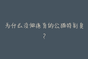 为什么没做绝育的公猫特别臭？-动物百科