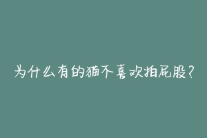 为什么有的猫不喜欢拍屁股?-动物百科