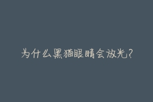 为什么黑猫眼睛会放光?-动物百科