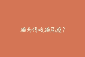 猫为何咬猫屁股?-动物百科