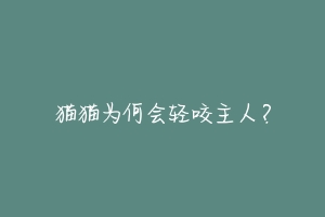 猫猫为何会轻咬主人?-动物百科