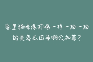 家里猫咪像打嗝一样一抽一抽的是怎么回事啊公加菲?-动物百科