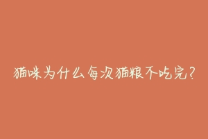 猫咪为什么每次猫粮不吃完?-动物百科