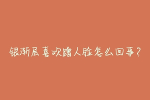 银渐层喜欢蹭人脸怎么回事？-动物百科